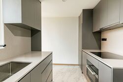 The Landmark (D3), Condominium #539918561